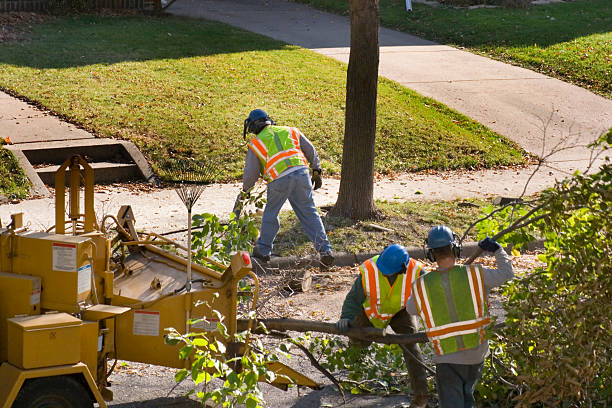 Best Residential Tree Removal  in Robinson, TX